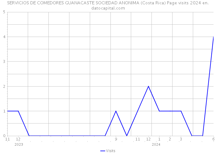 SERVICIOS DE COMEDORES GUANACASTE SOCIEDAD ANONIMA (Costa Rica) Page visits 2024 