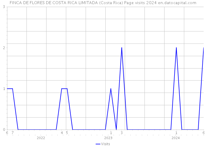 FINCA DE FLORES DE COSTA RICA LIMITADA (Costa Rica) Page visits 2024 