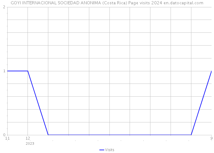 GOYI INTERNACIONAL SOCIEDAD ANONIMA (Costa Rica) Page visits 2024 