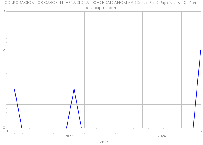 CORPORACION LOS CABOS INTERNACIONAL SOCIEDAD ANONIMA (Costa Rica) Page visits 2024 