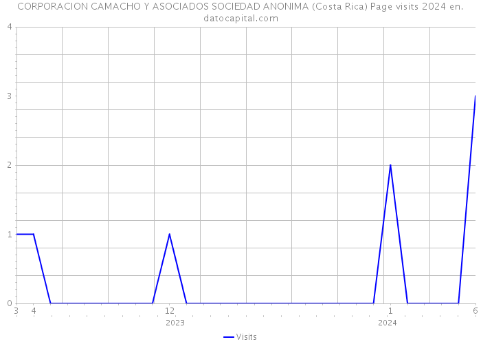 CORPORACION CAMACHO Y ASOCIADOS SOCIEDAD ANONIMA (Costa Rica) Page visits 2024 