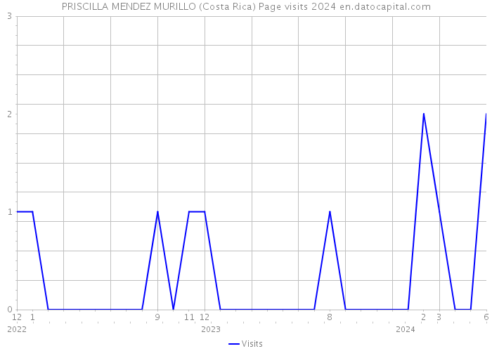 PRISCILLA MENDEZ MURILLO (Costa Rica) Page visits 2024 