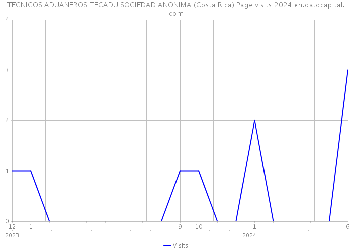 TECNICOS ADUANEROS TECADU SOCIEDAD ANONIMA (Costa Rica) Page visits 2024 