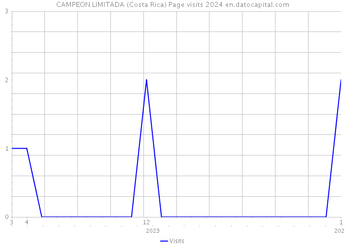 CAMPEON LIMITADA (Costa Rica) Page visits 2024 