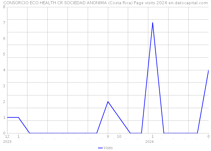 CONSORCIO ECO HEALTH CR SOCIEDAD ANONIMA (Costa Rica) Page visits 2024 