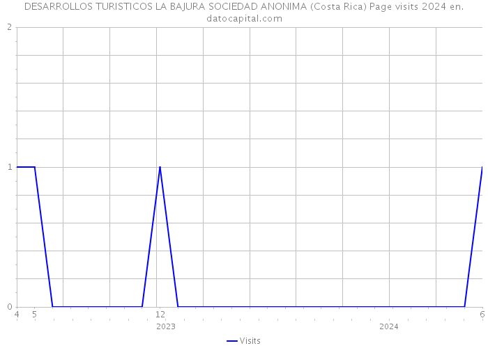 DESARROLLOS TURISTICOS LA BAJURA SOCIEDAD ANONIMA (Costa Rica) Page visits 2024 