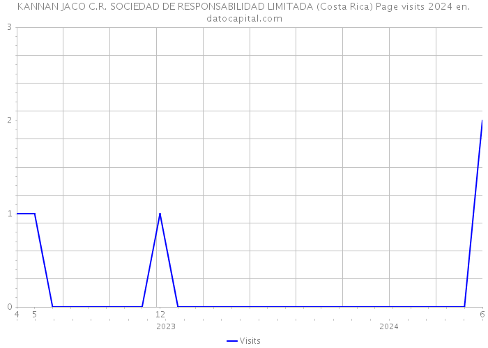 KANNAN JACO C.R. SOCIEDAD DE RESPONSABILIDAD LIMITADA (Costa Rica) Page visits 2024 
