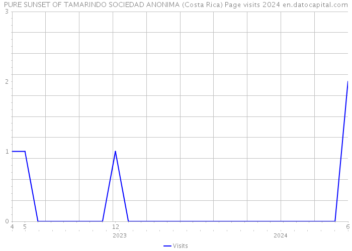 PURE SUNSET OF TAMARINDO SOCIEDAD ANONIMA (Costa Rica) Page visits 2024 