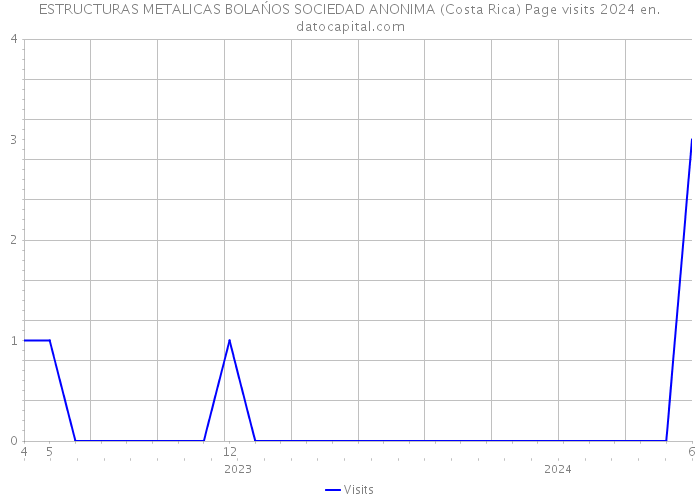 ESTRUCTURAS METALICAS BOLAŃOS SOCIEDAD ANONIMA (Costa Rica) Page visits 2024 