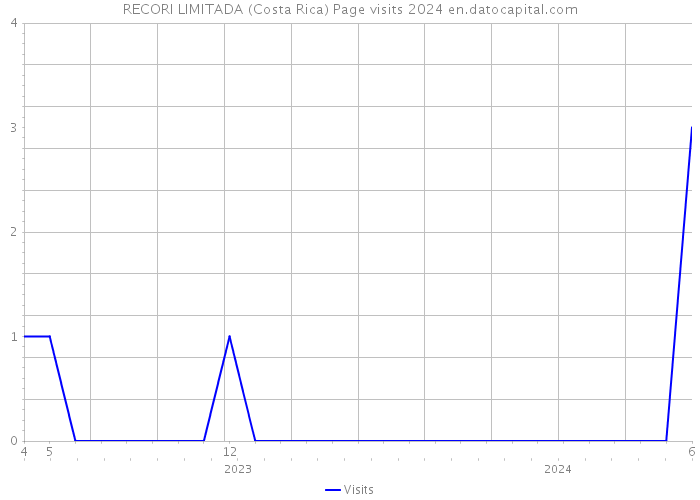 RECORI LIMITADA (Costa Rica) Page visits 2024 