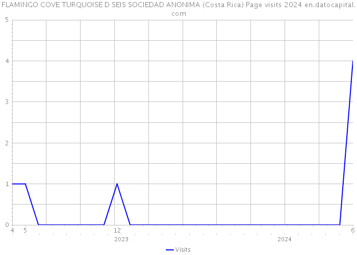 FLAMINGO COVE TURQUOISE D SEIS SOCIEDAD ANONIMA (Costa Rica) Page visits 2024 