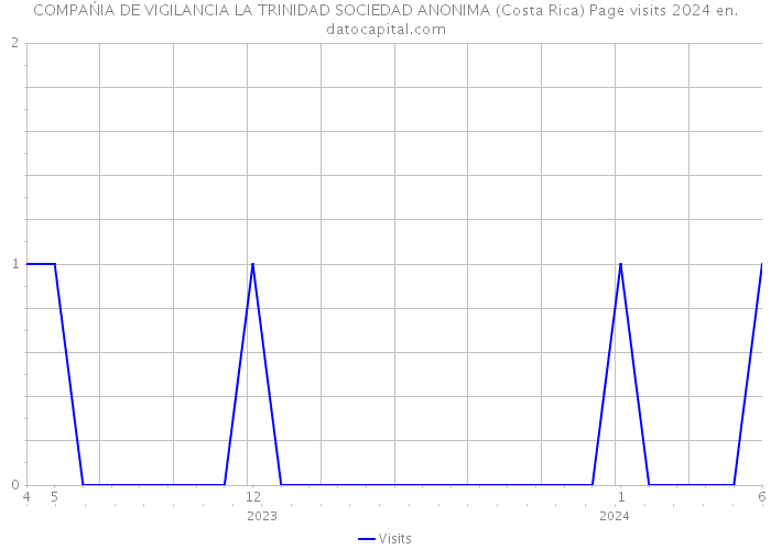 COMPAŃIA DE VIGILANCIA LA TRINIDAD SOCIEDAD ANONIMA (Costa Rica) Page visits 2024 