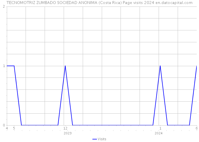 TECNOMOTRIZ ZUMBADO SOCIEDAD ANONIMA (Costa Rica) Page visits 2024 