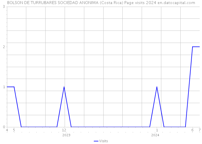 BOLSON DE TURRUBARES SOCIEDAD ANONIMA (Costa Rica) Page visits 2024 