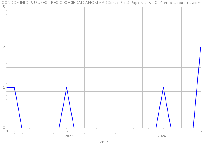 CONDOMINIO PURUSES TRES C SOCIEDAD ANONIMA (Costa Rica) Page visits 2024 