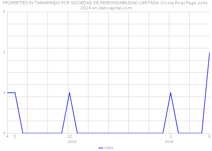 PROPERTIES IN TAMARINDO PCR SOCIEDAD DE RESPONSABILIDAD LIMITADA (Costa Rica) Page visits 2024 