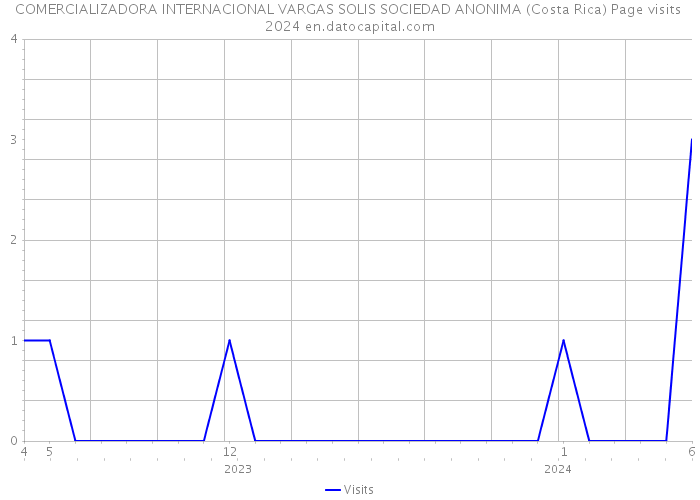 COMERCIALIZADORA INTERNACIONAL VARGAS SOLIS SOCIEDAD ANONIMA (Costa Rica) Page visits 2024 