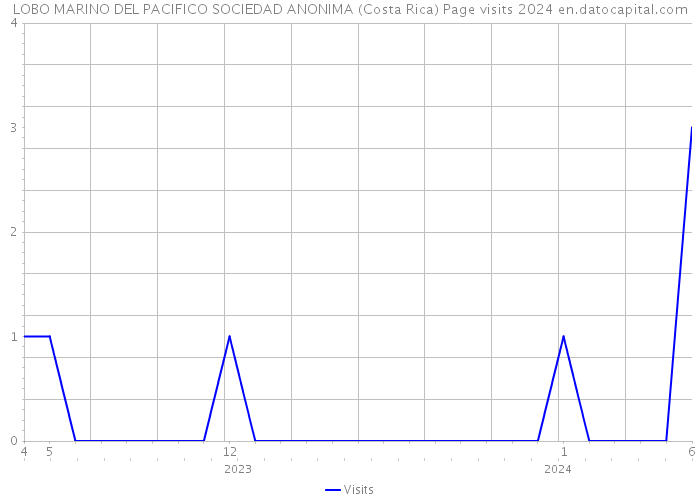 LOBO MARINO DEL PACIFICO SOCIEDAD ANONIMA (Costa Rica) Page visits 2024 