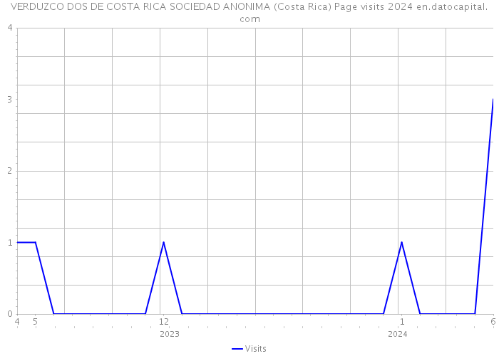VERDUZCO DOS DE COSTA RICA SOCIEDAD ANONIMA (Costa Rica) Page visits 2024 