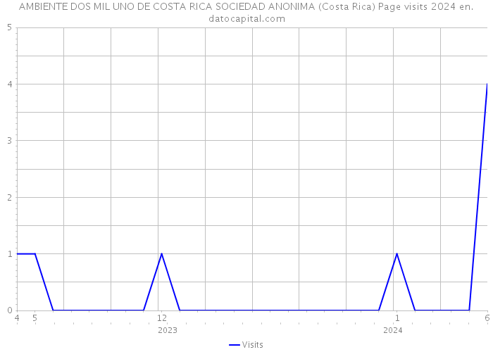 AMBIENTE DOS MIL UNO DE COSTA RICA SOCIEDAD ANONIMA (Costa Rica) Page visits 2024 