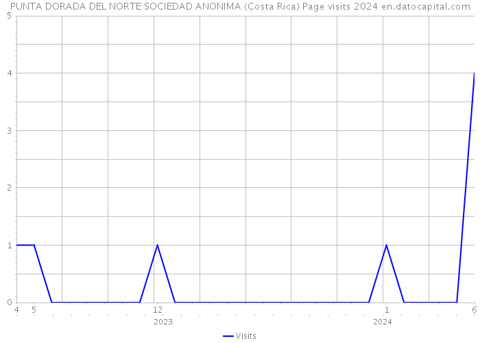 PUNTA DORADA DEL NORTE SOCIEDAD ANONIMA (Costa Rica) Page visits 2024 