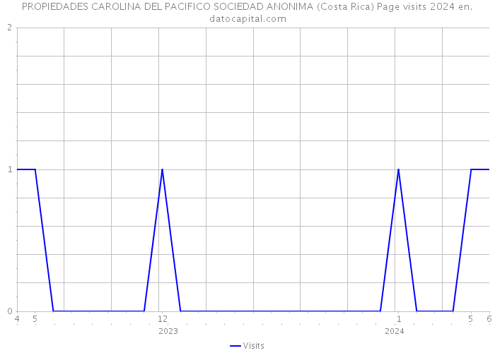 PROPIEDADES CAROLINA DEL PACIFICO SOCIEDAD ANONIMA (Costa Rica) Page visits 2024 