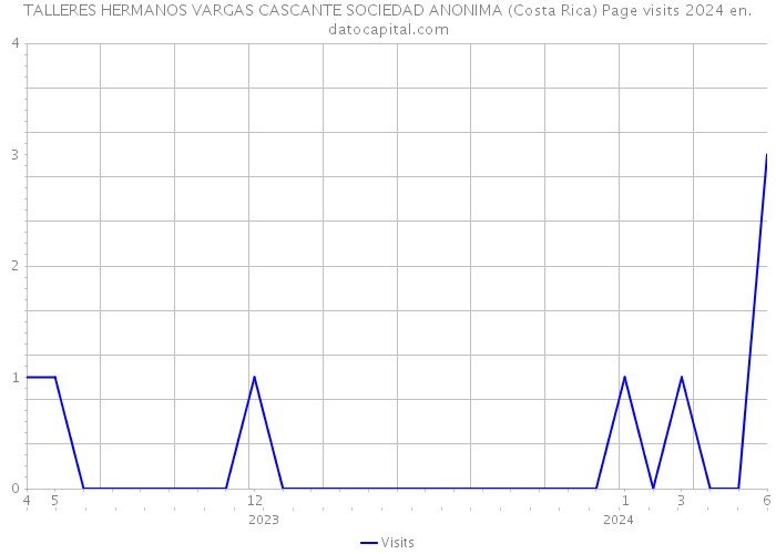 TALLERES HERMANOS VARGAS CASCANTE SOCIEDAD ANONIMA (Costa Rica) Page visits 2024 