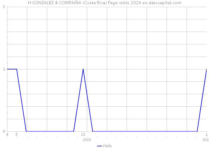 H GONZALEZ & COMPAŃIA (Costa Rica) Page visits 2024 