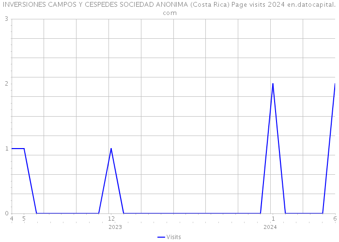 INVERSIONES CAMPOS Y CESPEDES SOCIEDAD ANONIMA (Costa Rica) Page visits 2024 