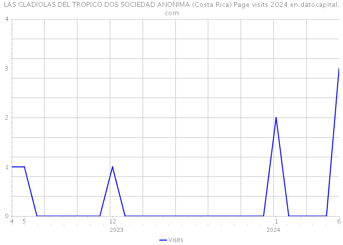 LAS GLADIOLAS DEL TROPICO DOS SOCIEDAD ANONIMA (Costa Rica) Page visits 2024 