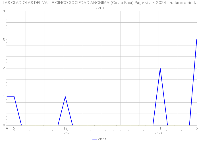 LAS GLADIOLAS DEL VALLE CINCO SOCIEDAD ANONIMA (Costa Rica) Page visits 2024 