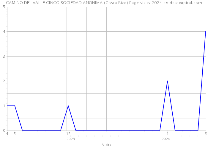 CAMINO DEL VALLE CINCO SOCIEDAD ANONIMA (Costa Rica) Page visits 2024 