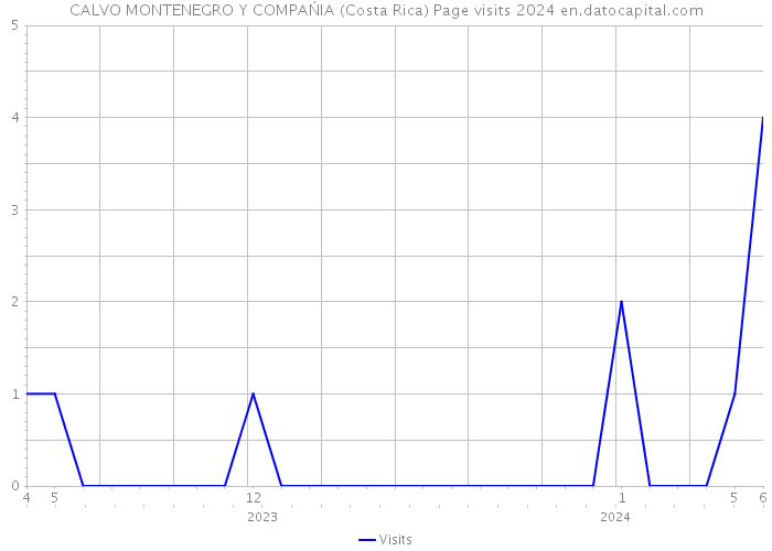 CALVO MONTENEGRO Y COMPAŃIA (Costa Rica) Page visits 2024 