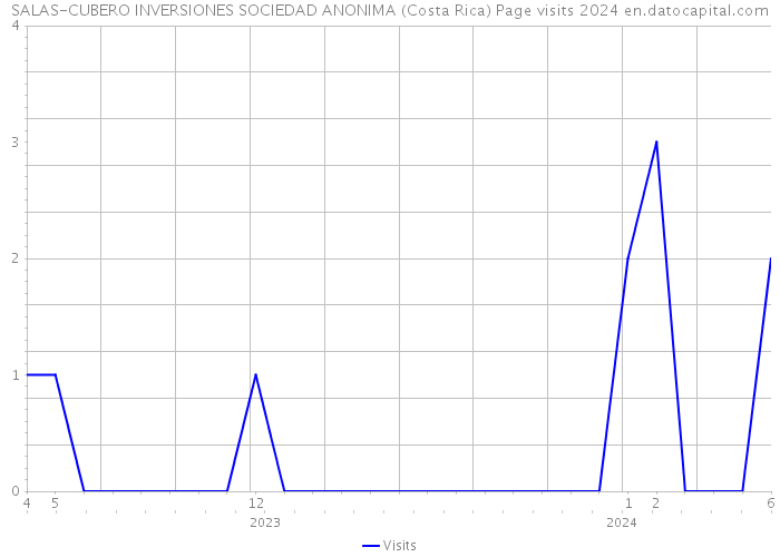 SALAS-CUBERO INVERSIONES SOCIEDAD ANONIMA (Costa Rica) Page visits 2024 