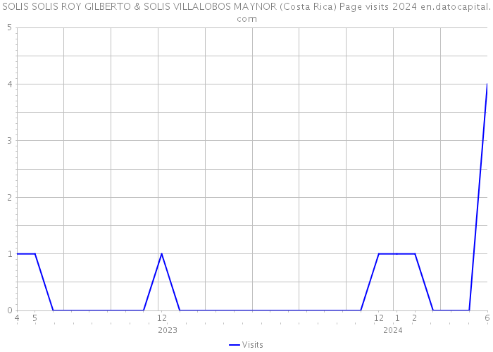 SOLIS SOLIS ROY GILBERTO & SOLIS VILLALOBOS MAYNOR (Costa Rica) Page visits 2024 