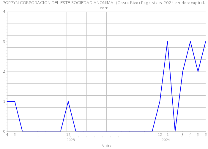 POPPYN CORPORACION DEL ESTE SOCIEDAD ANONIMA. (Costa Rica) Page visits 2024 