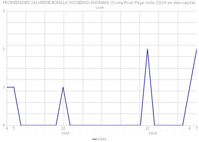 PROPIEDADES VALVERDE BONILLA SOCIEDAD ANONIMA (Costa Rica) Page visits 2024 