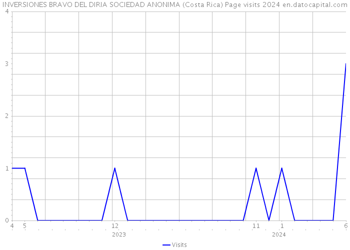 INVERSIONES BRAVO DEL DIRIA SOCIEDAD ANONIMA (Costa Rica) Page visits 2024 