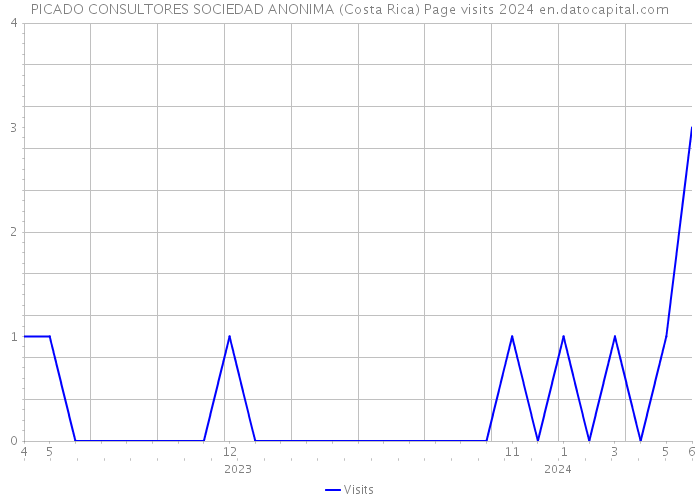 PICADO CONSULTORES SOCIEDAD ANONIMA (Costa Rica) Page visits 2024 