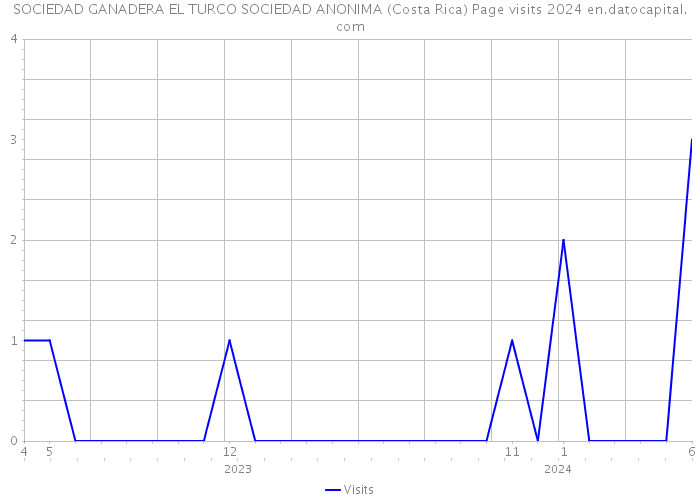 SOCIEDAD GANADERA EL TURCO SOCIEDAD ANONIMA (Costa Rica) Page visits 2024 