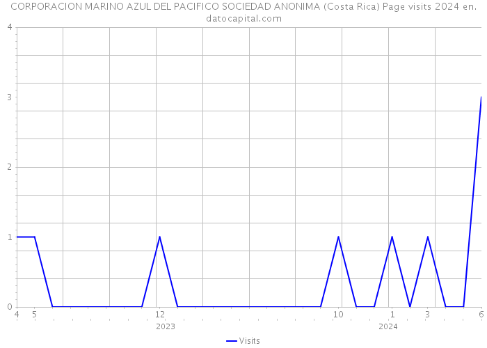 CORPORACION MARINO AZUL DEL PACIFICO SOCIEDAD ANONIMA (Costa Rica) Page visits 2024 
