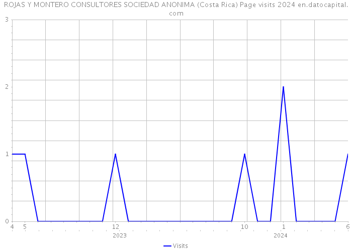 ROJAS Y MONTERO CONSULTORES SOCIEDAD ANONIMA (Costa Rica) Page visits 2024 