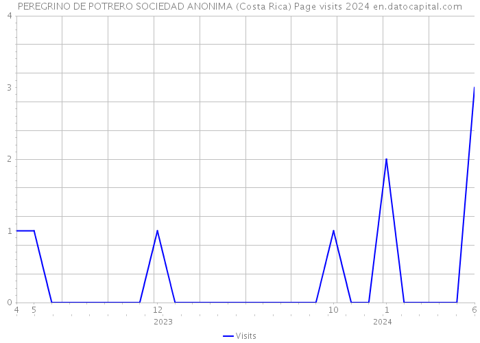 PEREGRINO DE POTRERO SOCIEDAD ANONIMA (Costa Rica) Page visits 2024 