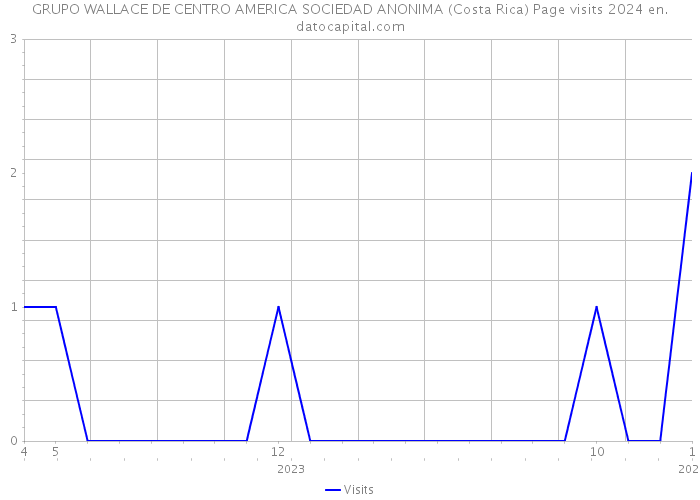 GRUPO WALLACE DE CENTRO AMERICA SOCIEDAD ANONIMA (Costa Rica) Page visits 2024 