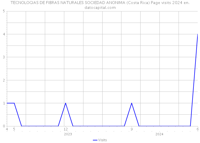 TECNOLOGIAS DE FIBRAS NATURALES SOCIEDAD ANONIMA (Costa Rica) Page visits 2024 