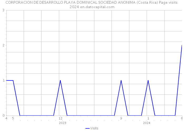 CORPORACION DE DESARROLLO PLAYA DOMINICAL SOCIEDAD ANONIMA (Costa Rica) Page visits 2024 