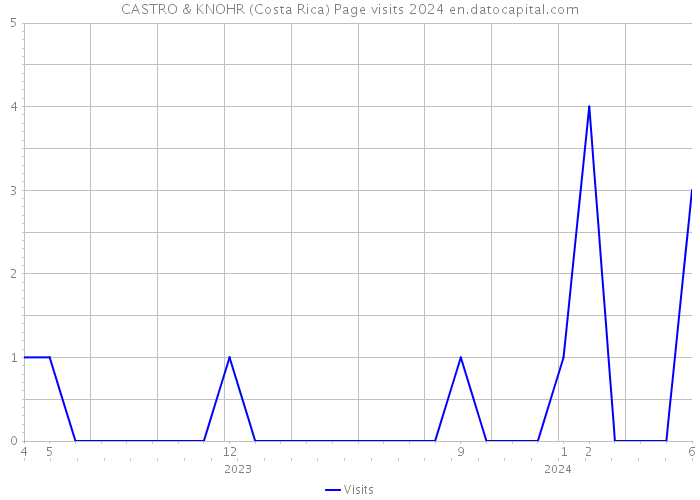 CASTRO & KNOHR (Costa Rica) Page visits 2024 