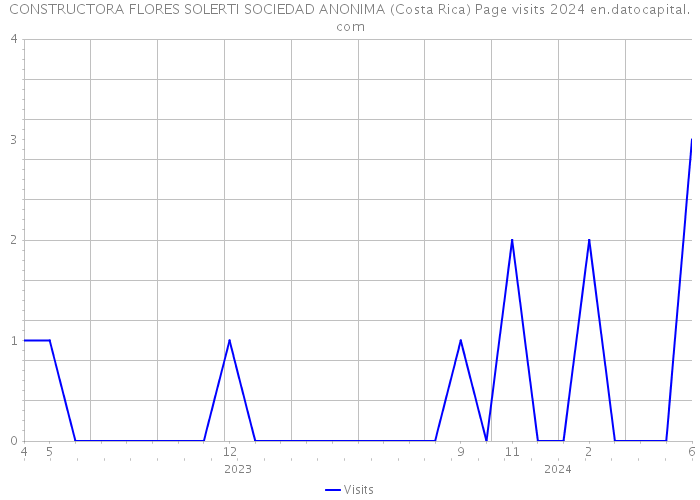 CONSTRUCTORA FLORES SOLERTI SOCIEDAD ANONIMA (Costa Rica) Page visits 2024 