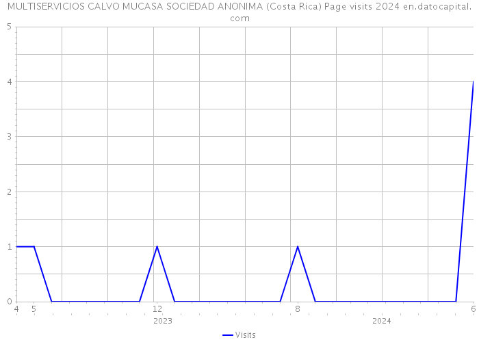 MULTISERVICIOS CALVO MUCASA SOCIEDAD ANONIMA (Costa Rica) Page visits 2024 
