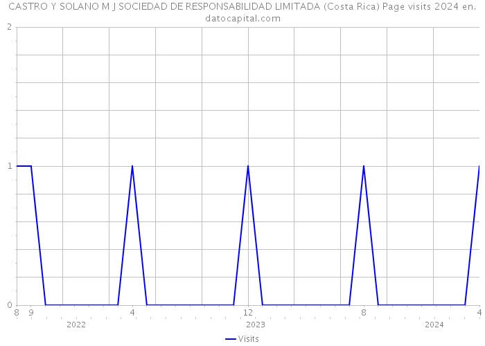 CASTRO Y SOLANO M J SOCIEDAD DE RESPONSABILIDAD LIMITADA (Costa Rica) Page visits 2024 